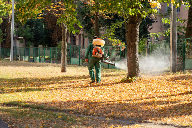 Pest Control Cost in Enon, OH